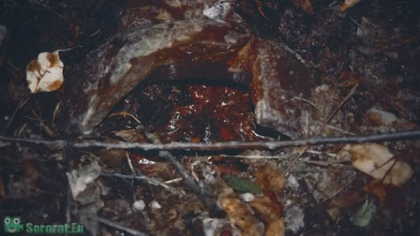 Beszélgetések egy sorozatgyilkossal: A Jeffrey Dahmer-szalagok 1. évad 01. rész