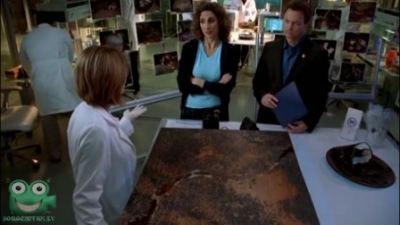 CSI: New York 4. évad 16. rész