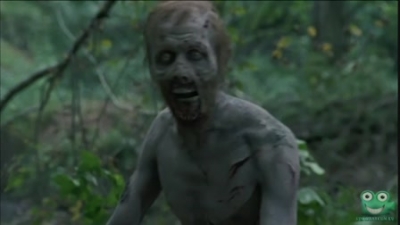 The Walking Dead  2. évad 11. rész